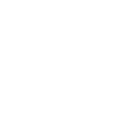 a white paw print on a black background